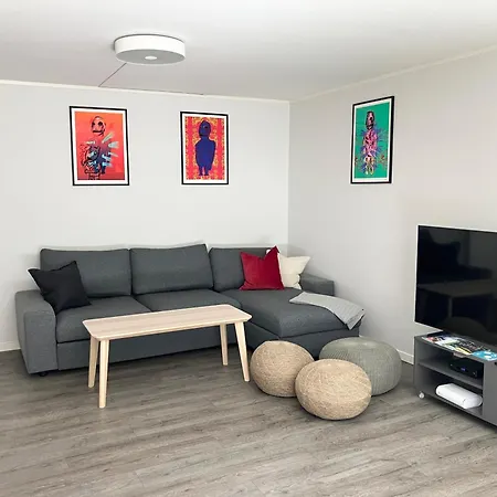 3br Penthouse In Center With Free Parking * Oslo