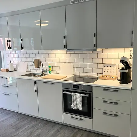 公寓 3br Penthouse In Center With Free Parking 奥斯陆